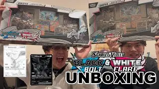 Opening 2 UNOVA Heavy Hitters Boxes 🔥 HUGE Pok&eacute;mon Pulls?