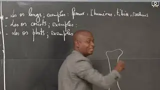 Cours - 3e - SVT  : Les os 1/3