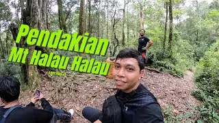 GUNUNG HALAU HALAU KALSEL 2024 #2
