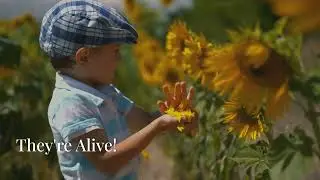 Fun Facts About Plants | Amazing Plant Facts for Kids