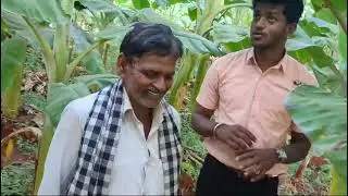 #modicare #agriculture field work results @Chamarajanagar #team #miracle #creators