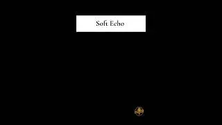 Stand Steady - Soft Echo #a #motivation #mindset #quotes #shorts