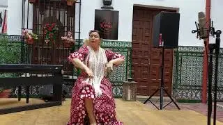 Castañuelas Flamencas en el Escenario desde Sevilla