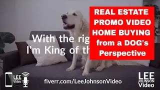 Lee Johnson Video: Real Estate Video Home Buying from a Dog's Perspective. Available on Fiverr