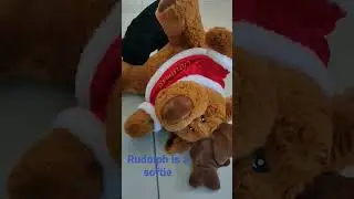 PUPPY& Rudolph🦌#shorts #rudolf #xmas #fun #games #playstation #happy #video #funnyvideo #puppy #pug