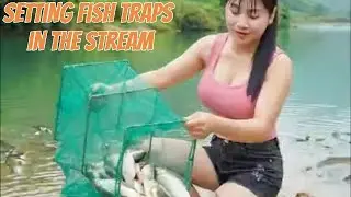 Setting a Net Trap in the Stream | Catching Fish in the Forest