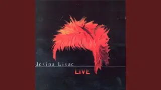 Hazarder (Live)