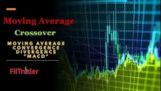 Moving Average - Crossover - MACD Technical Analysis