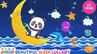 Lullabies for Babies with Panda A Dreamy Nighttime Adventure