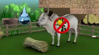 Desi Cow Milk Benefits