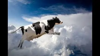 There is no Cow Level! - MTG Arena - Theros Beyond Death Standard