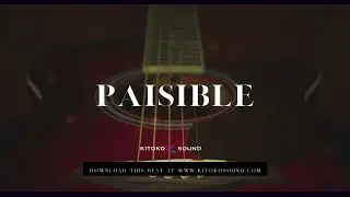 Afrobeat Guitar Type Beat 