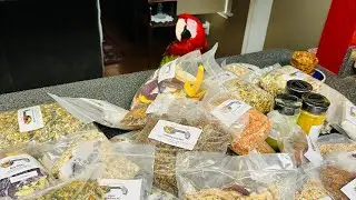 Unboxing Parrot Treats | Christine&rsquo;s Chop Shop!! #parrots #birds #christineschopshop