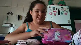 Arrumando meus estojos pra 2026