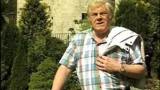 Big Tom-The Beauty Of Limerick