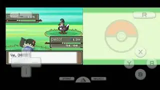 Pokemon: Chatot screams AMONG US!