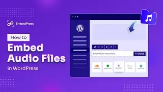 How to Embed Audio Files in WordPress?