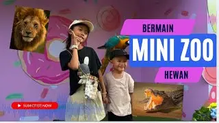 Terupdate : Bermain ke minizoo samarinda