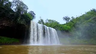 Visit Sidama