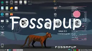 FossaPup64 9.5