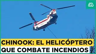 Chinook en Viña del Mar: Así es el helicóptero que que combate los incendios en los cerros
