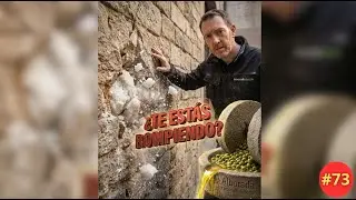 🧱 ¡TU ARMADURA TE MATA! El peligro de la Criptoflorescencia (Thlipsis)