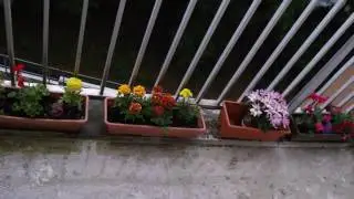 balcon fleuris 2016 version 2