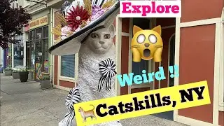 Catskills, the Village of Cats 🐱!! 4K ( English)