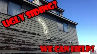 How Much Does It Cost To Paint My Siding
