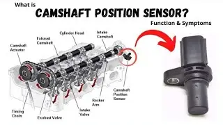 Why Camshaft Position Sensors Are So Important
