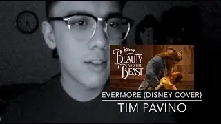 Evermore (Disney Cover) - Tim Pavino