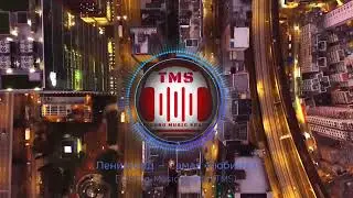 Leningrad - The Most Favorite@Electro Dubstep Visualizer[Techno Music Space] (TMS)