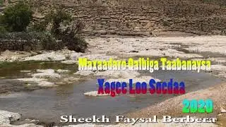 Maxaadaro Qalbiga Ku Tabanaysa Sheekh Faysal Berbera 2020