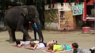 Phuket Attractions - Phuket Zoo
