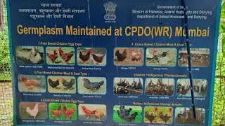 केंद्रीय कुकर विकास संगठन मुंबई आर्य कॉलोनी