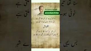 Heart Touching Urdu Poetry | Best Shayari by Famous Poets | Urdu Shayari Shorts #poetry#shorts
