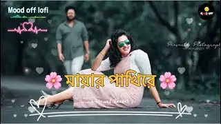 মায়ার পাখিরে। Lofi Song | Mayar Pakhire | Tiktok Viral Lofi Gan ( Slowed Reverb ) Bangla Lofi Song 