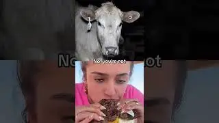 Someone who loves animals doesn't eat animals