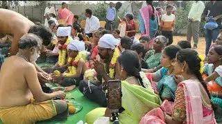 Ayyappa pooja live updates of the day