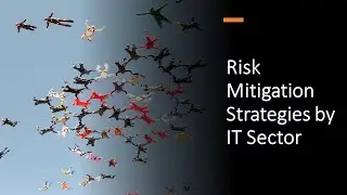 Risk Mitigation Strategies by IT Sector