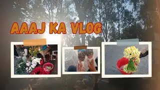 shayr aya shayr aya 😂 tried famous (worst) paratha roll