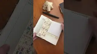 Bullet journal flip through #bulletjournalsetup #bujo #bulletjournal