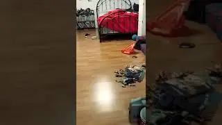 Spookay
