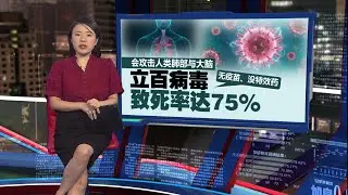 印度爆立百病毒   生饮椰枣汁引发疫情？ | 新闻报报看 28/01/2026