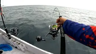 SENSASI JIGGING LAUT DALAM MEMAKAI REEL SPINING || Jig 400-500 Gram Fish Hunter Bali