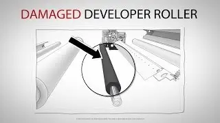 Why is a Developer Roller Important?