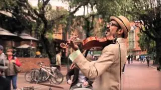 (HD) LE CHAT LUNATIQUE / BOOK AFTERNOON BURNING : AMPLIFICADO  (NEW M&Eacute;XICO, USA)