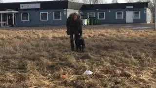 Will-Ja tr&auml;nar impulskontroll