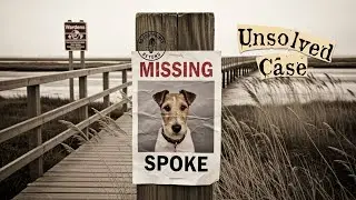 &ldquo;Who Crosses the Marsh Road After Dark? The Terrier Vanished&mdash;Wardens Shut the Footbridge&rdquo;