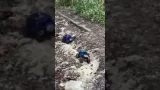 trx4 et SG4 dans un passage d'orni&egrave;re.